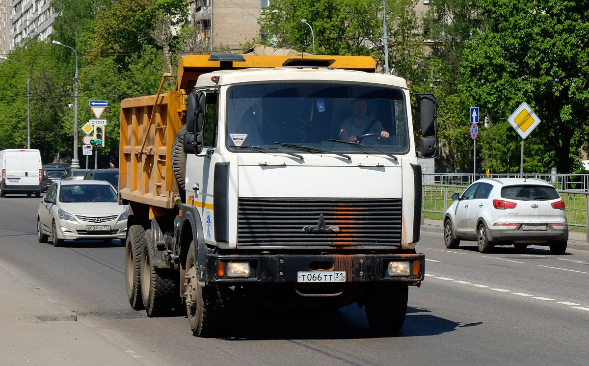 Белгородская область, № Т 066 ТТ 31 — МАЗ-5516 (общая модель)