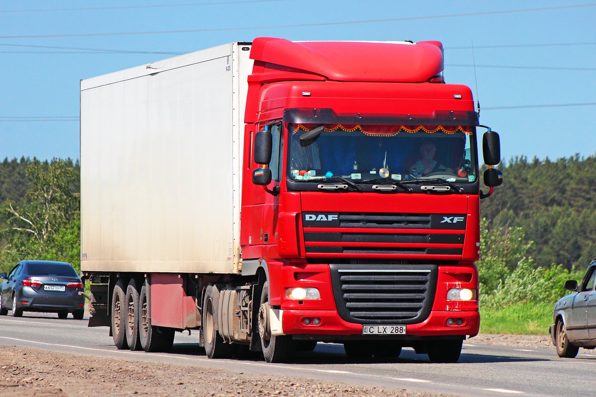 Молдавия, № C LX 288 — DAF XF105 FT