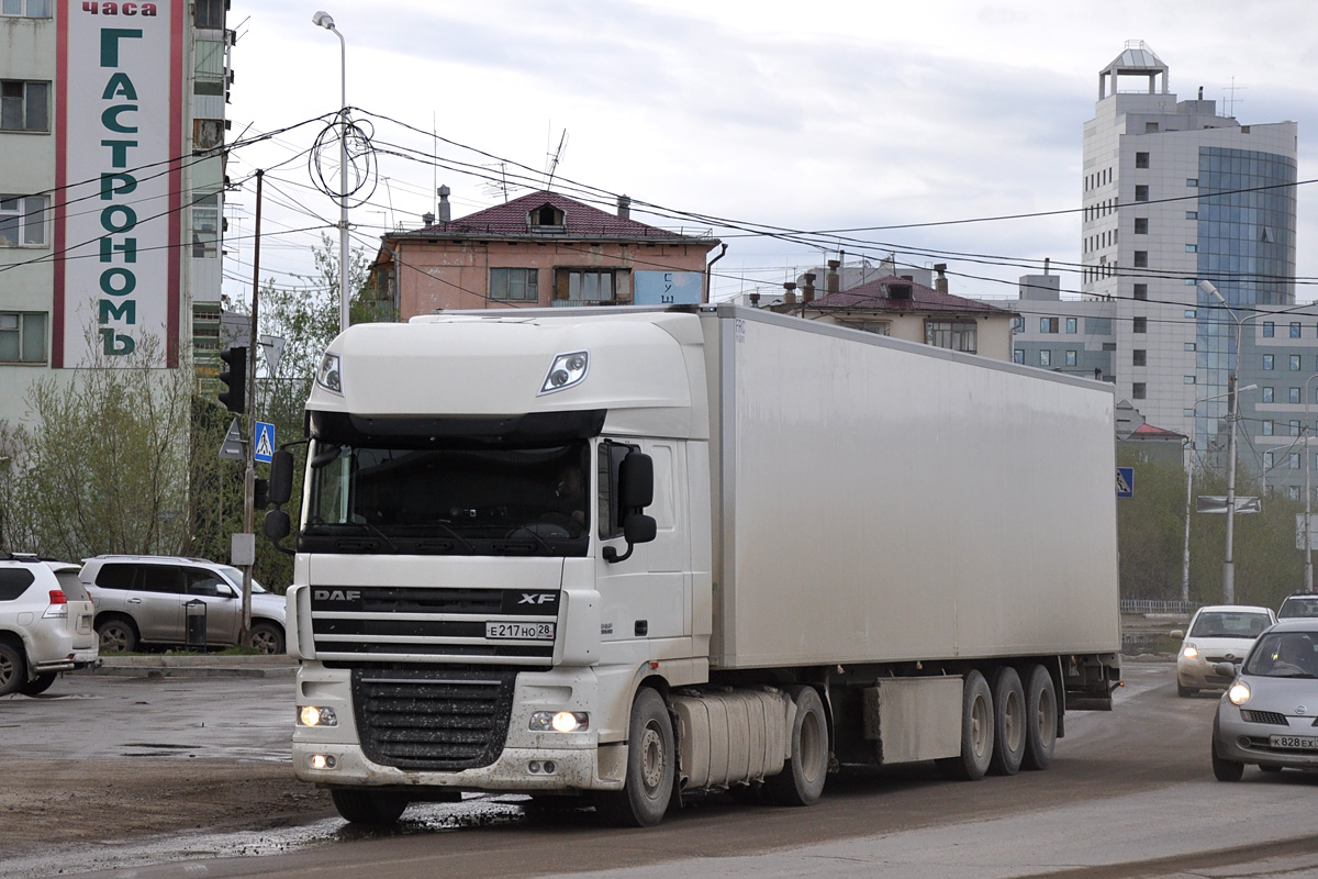 Амурская область, № Е 217 НО 28 — DAF XF105 FT