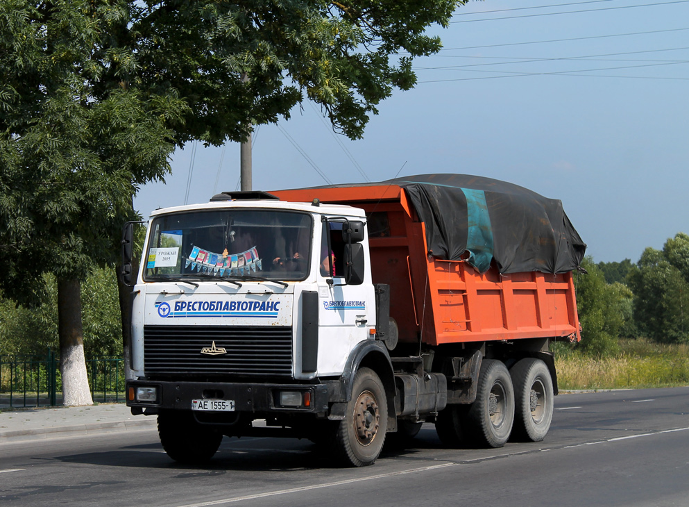 Брестская область, № АЕ 1555-1 — МАЗ-5516 (общая модель)