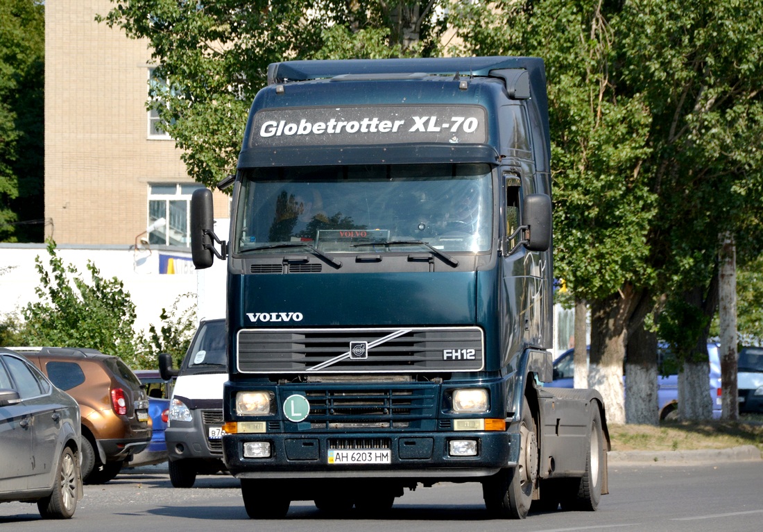 Донецкая область, № АН 6203 НМ — Volvo ('1993) FH-Series; Volvo ('1993) FH12 "70 Years Edition" (Ростовская область)