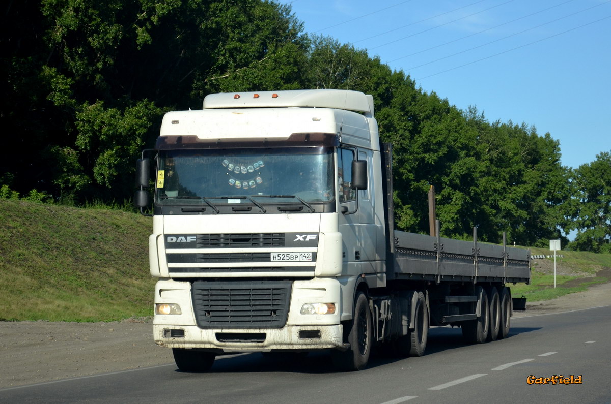 Кемеровская область, № Н 525 ВР 142 — DAF XF95 FT