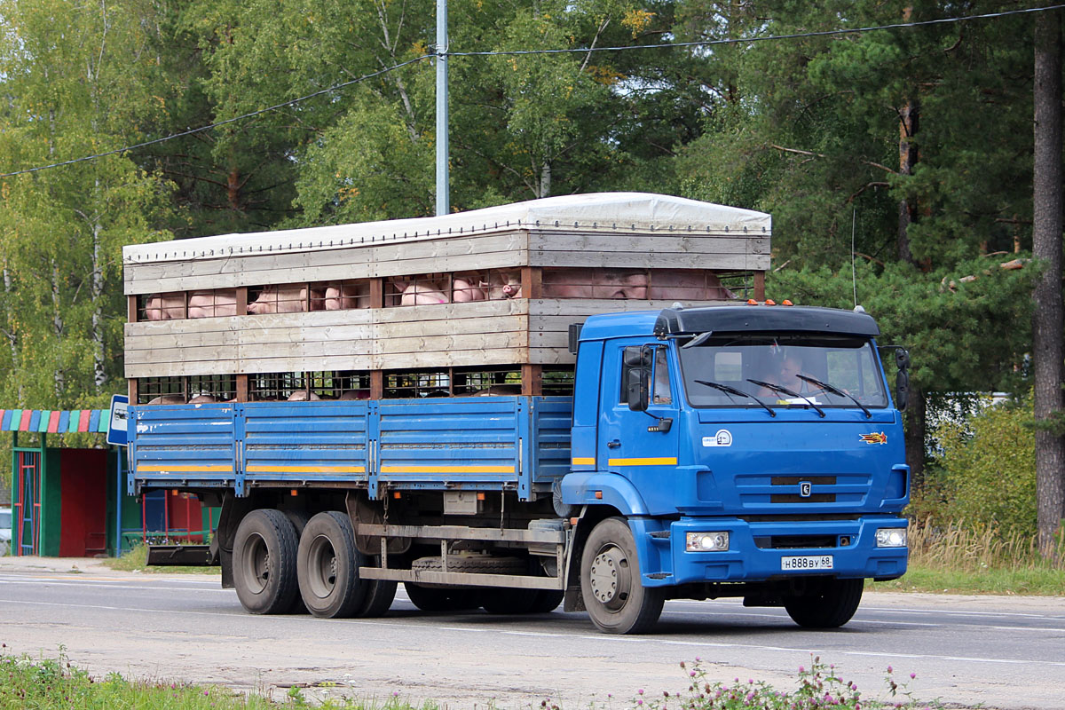 Тамбовская область, № Н 888 ВУ 68 — КамАЗ-65117 (общая модель)