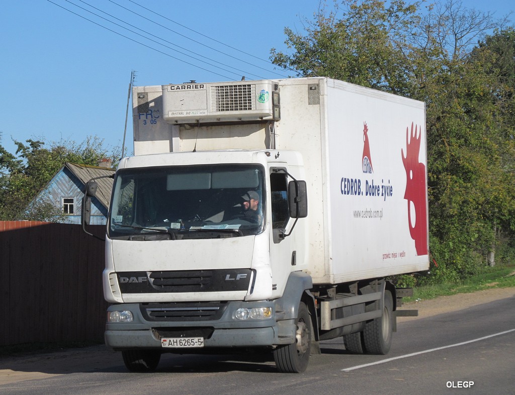 Минская область, № АН 6265-5 — DAF LF55 FA