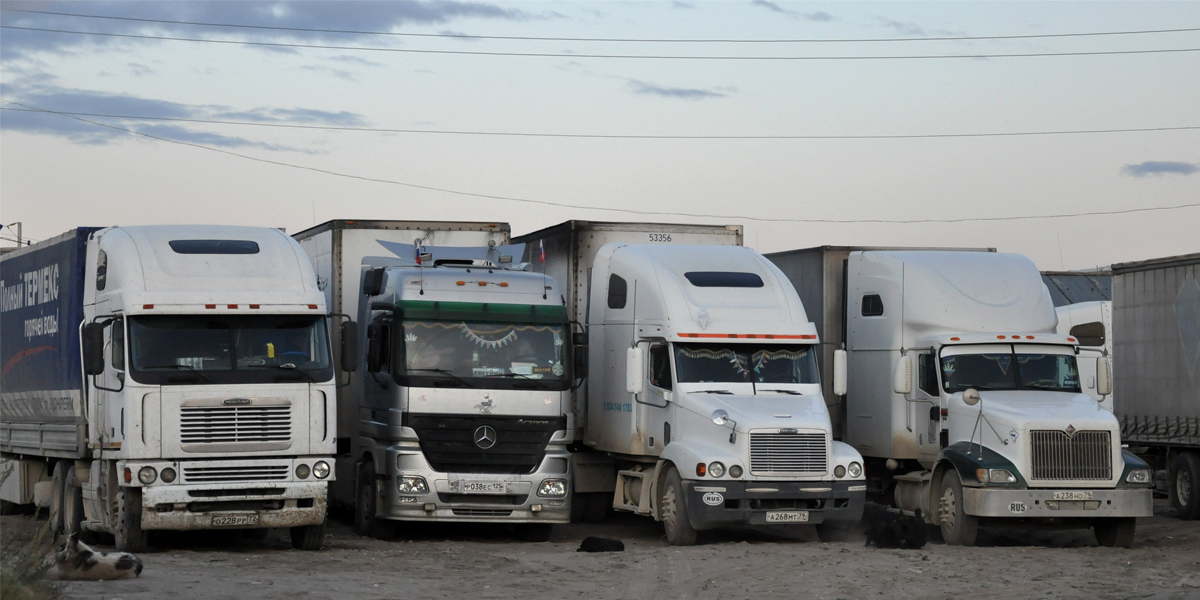 Тюменская область, № О 228 РР 72 — Freightliner Argosy; Приморский край, № Р 038 ЕС 125 — Mercedes-Benz Actros ('2003); Еврейская автономная область, № А 268 МТ 79 — Freightliner Century Class; Еврейская автономная область, № А 238 НО 79 — International 9400; Саха (Якутия) — Разные фотографии (Автомобили)