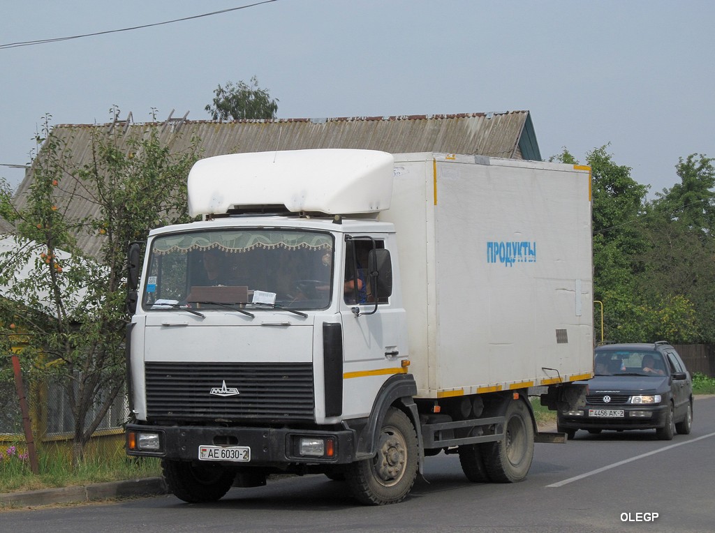 Витебская область, № АЕ 6030-2 — МАЗ-4570 (общая модель)