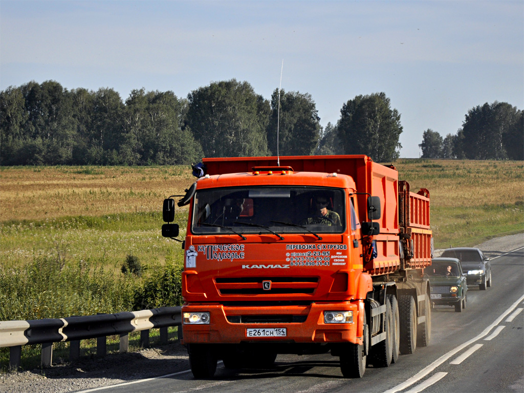 Новосибирская область, № Е 261 СН 154 — КамАЗ-65115-L4(19)