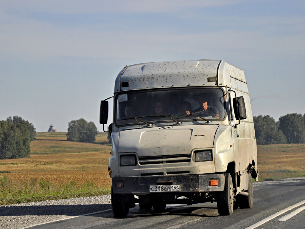 Новосибирская область, № С 318 СР 154 — ЗИЛ-5301CC "Бычок"