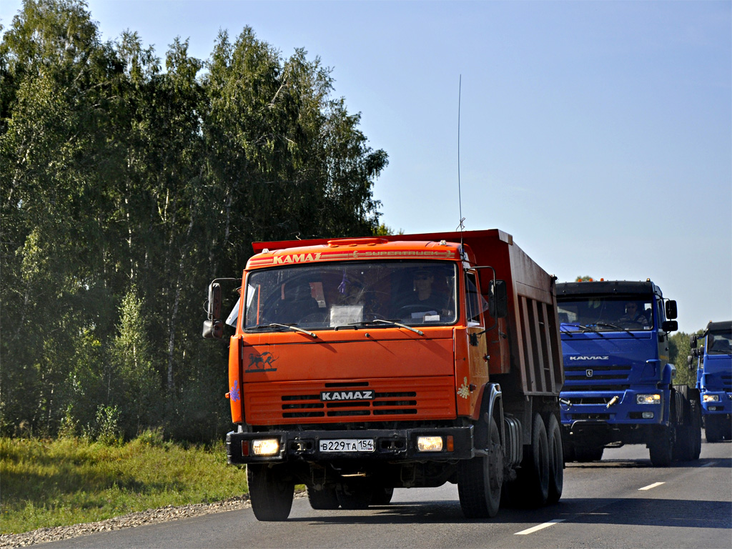 Новосибирская область, № В 229 ТА 154 — КамАЗ-65115-13 [65115N]