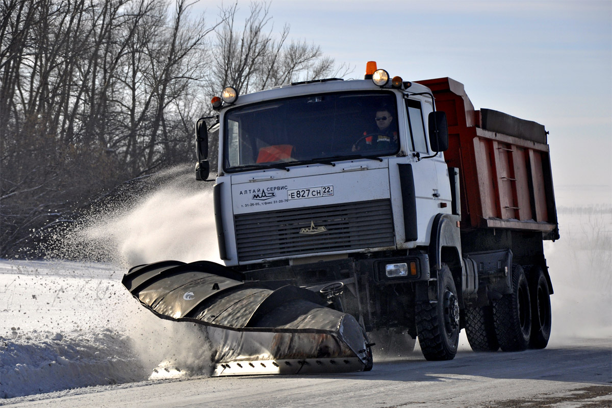 Алтайский край, № Е 827 СН 22 — МАЗ-651705