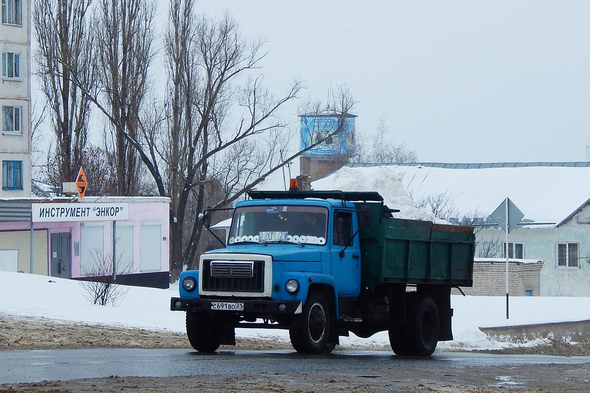 Белгородская область, № С 691 ВО 31 — ГАЗ-3307