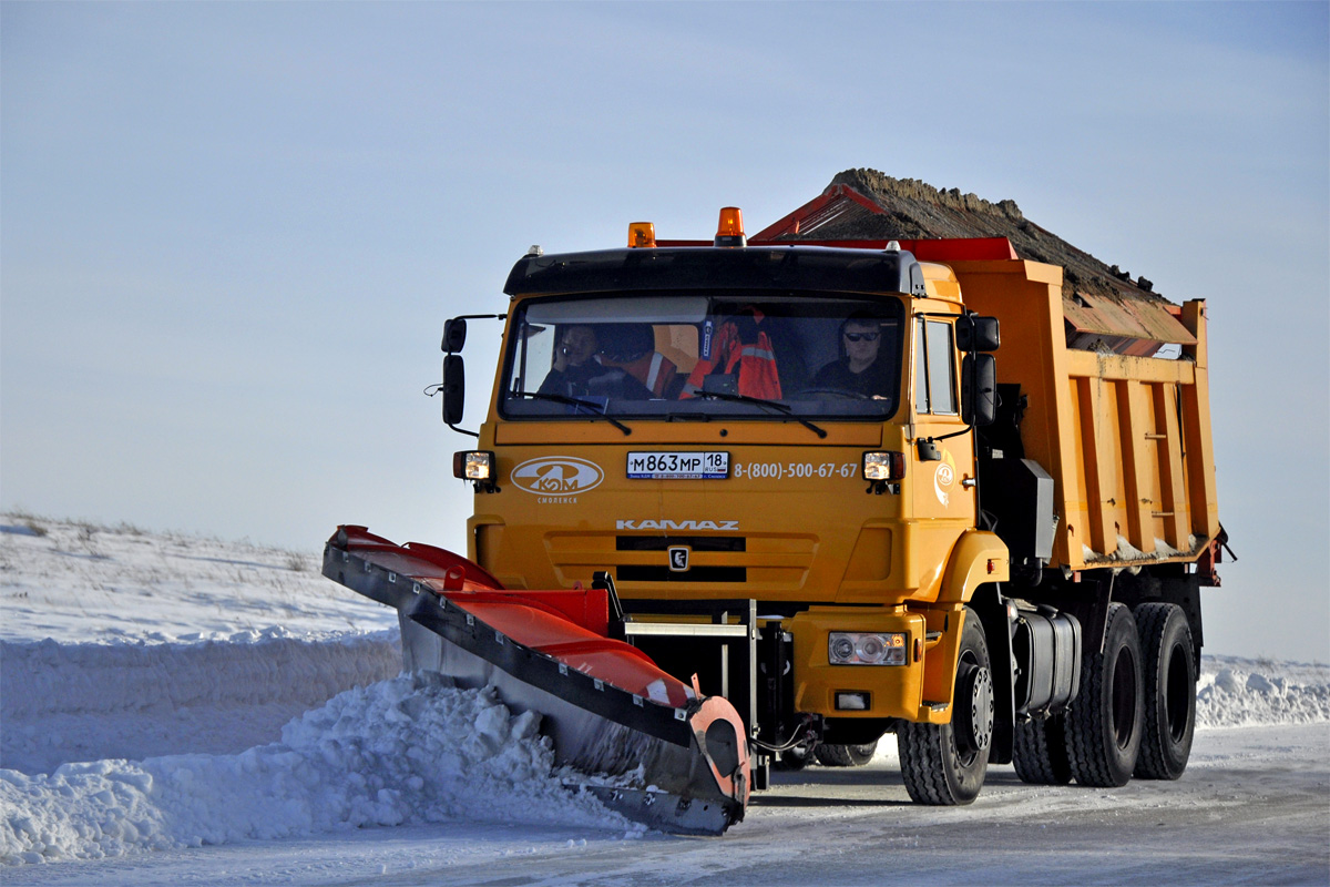 Алтайский край, № М 863 МР 18 — КамАЗ-65115-62