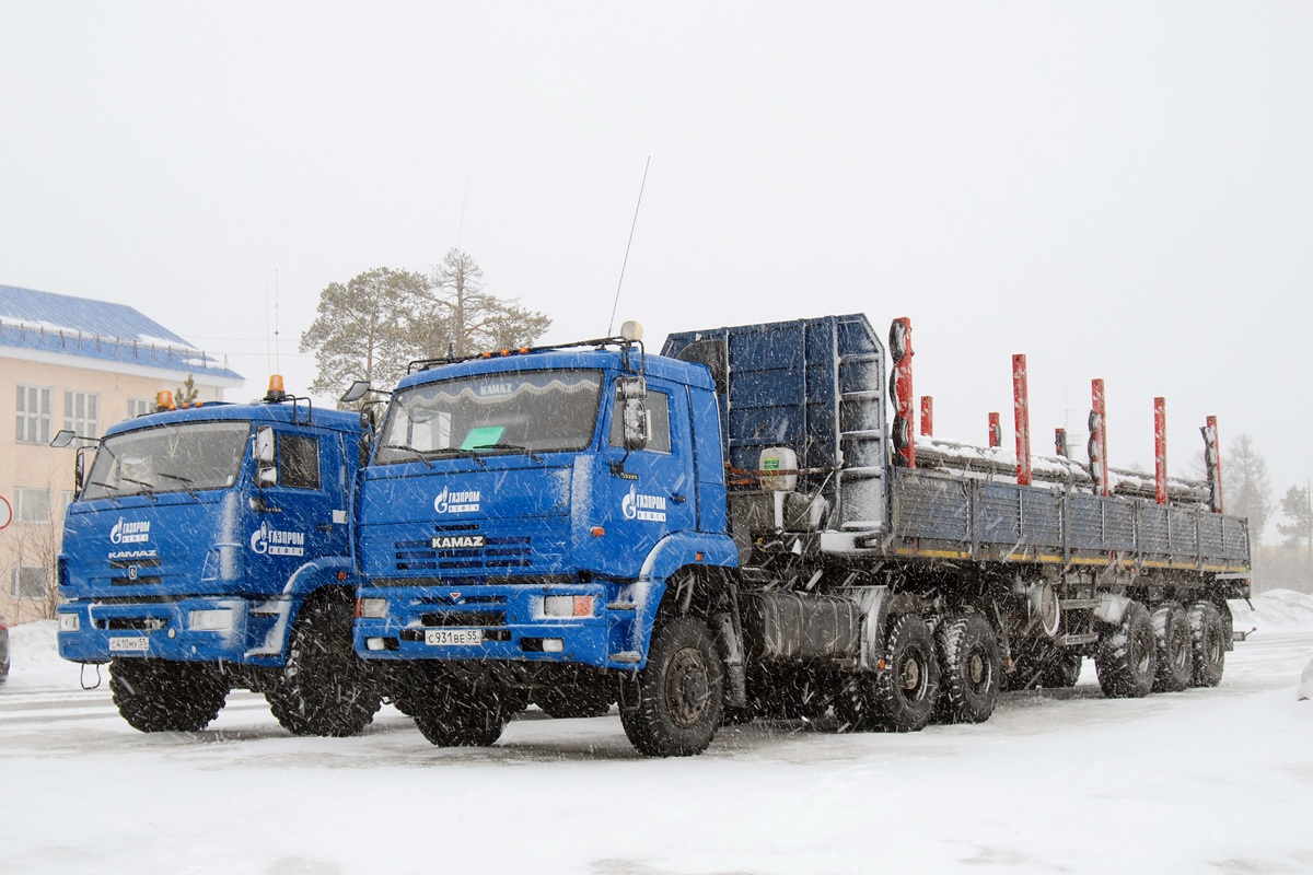 Омская область, № С 931 ВЕ 55 — КамАЗ-65225-22 [65225Y]