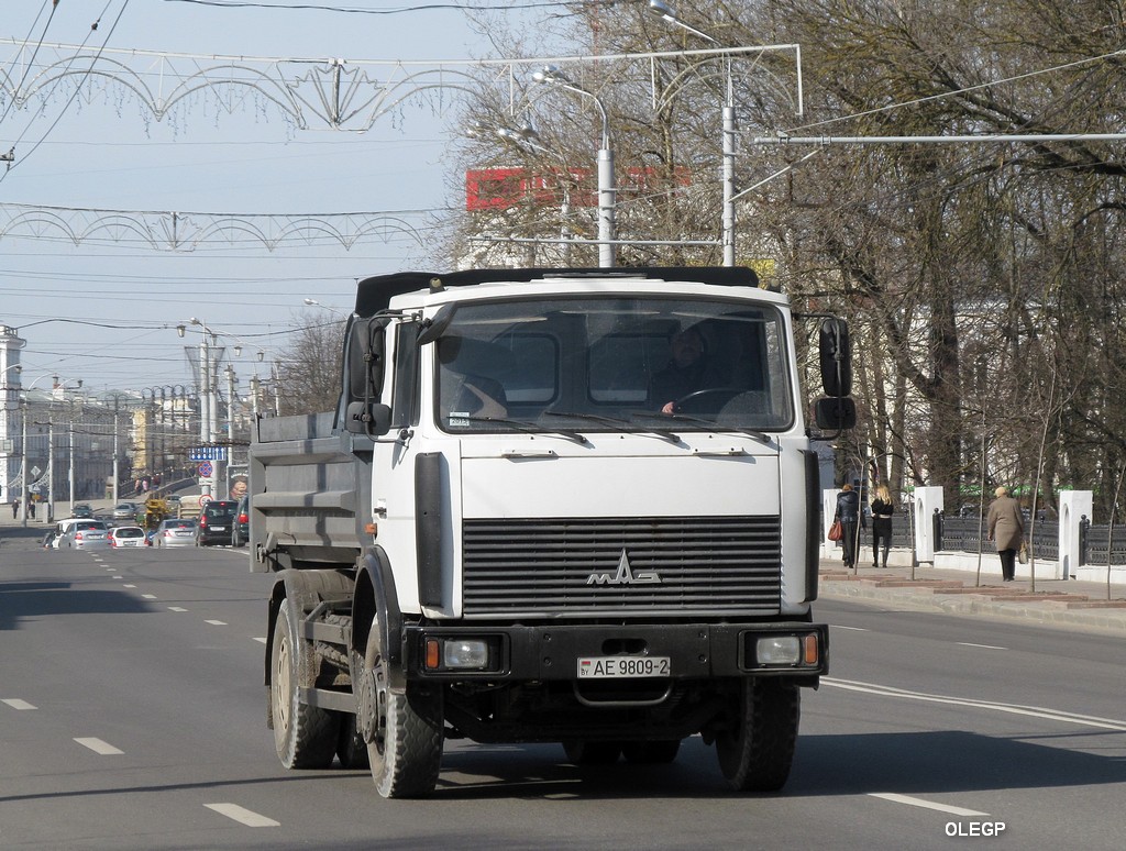 Витебская область, № АЕ 9809-2 — МАЗ-5551 (общая модель)