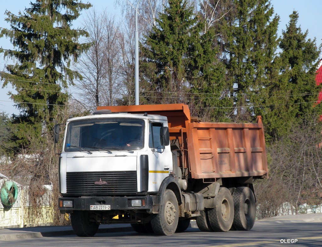 Витебская область, № АВ 2219-2 — МАЗ-5516 (общая модель)