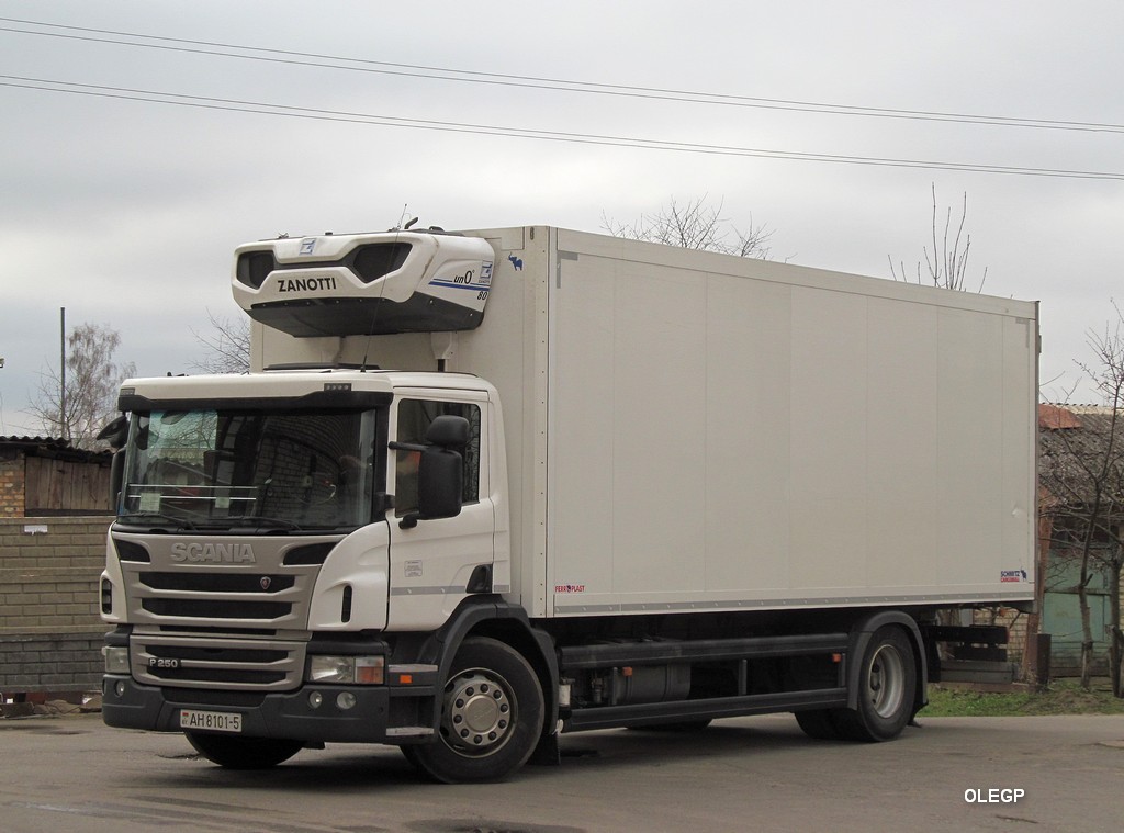 Минская область, № АН 8101-5 — Scania ('2011) P250