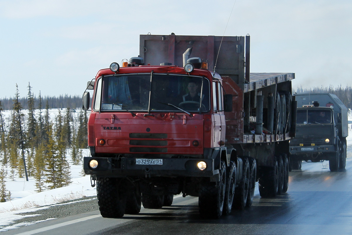 Белгородская область, № О 325 АЕ 31 — Tatra 815-280R84