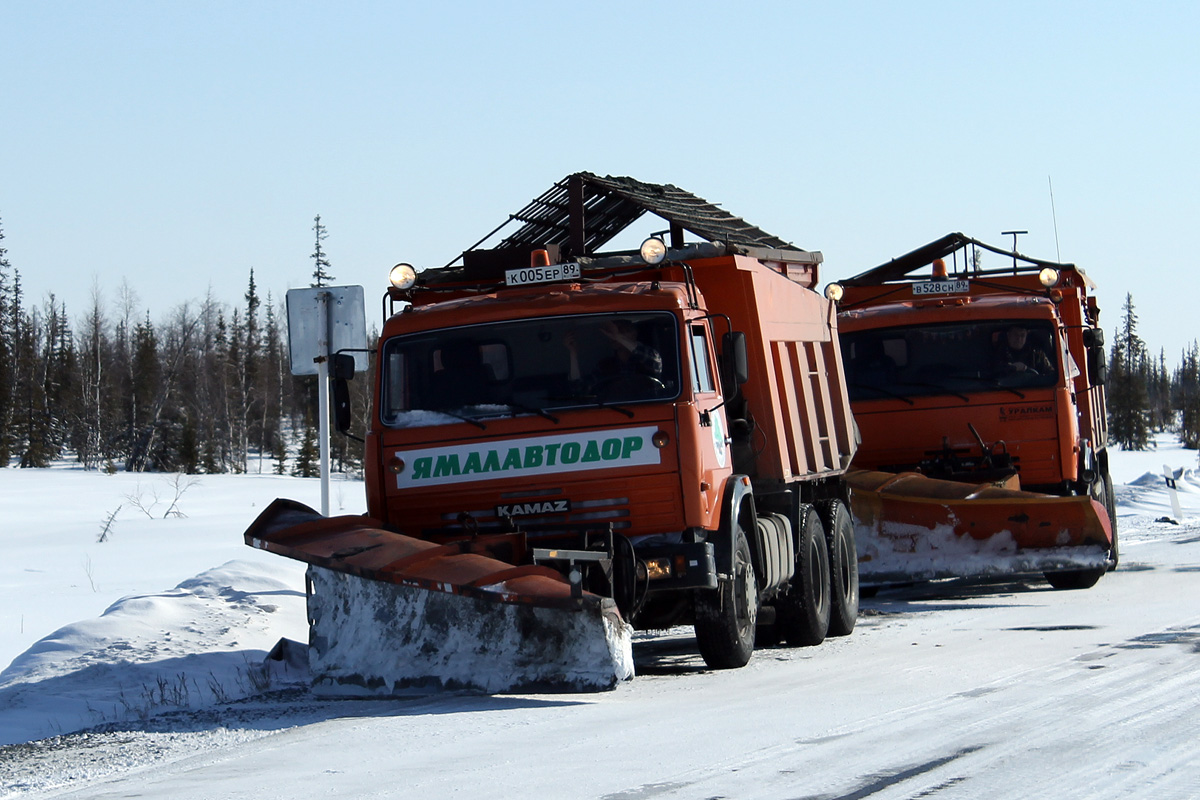 Ямало-Ненецкий автоном.округ, № К 005 ЕР 89 — КамАЗ-65115-13 [65115N]