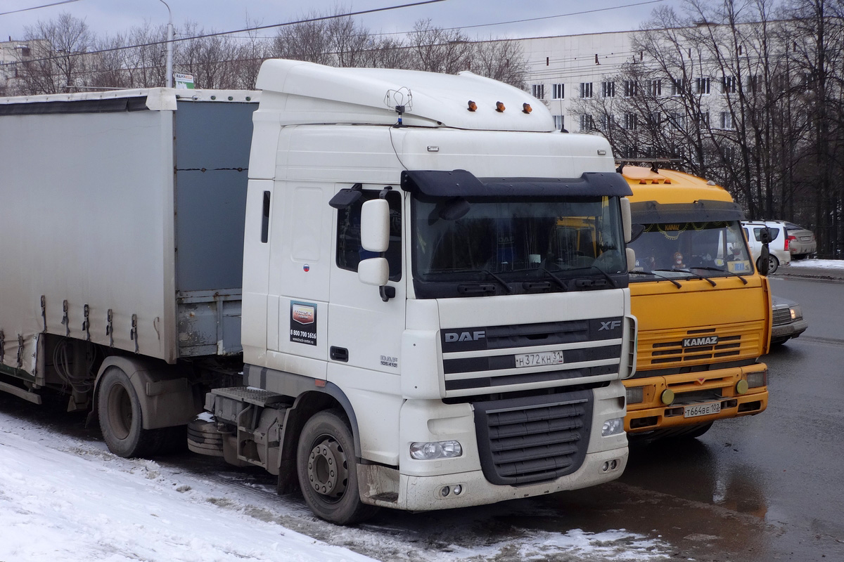 Белгородская область, № Н 372 КН 31 — DAF XF105 FT