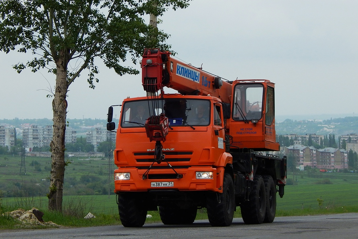 Белгородская область, № Н 387 НК 31 — КамАЗ-43118-24