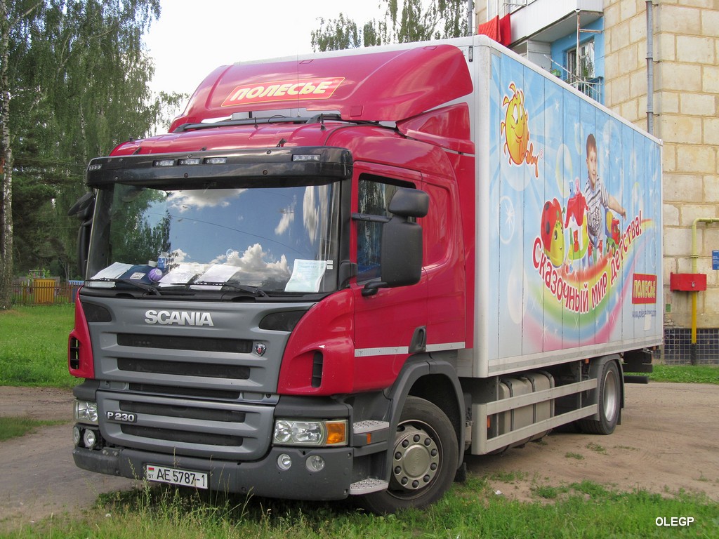 Брестская область, № АЕ 5787-1 — Scania ('2004) P230