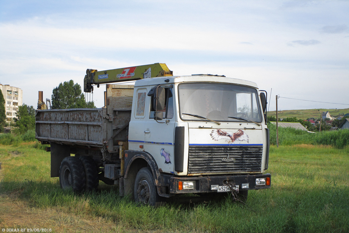 Волгоградская область, № А 525 КК 134 — МАЗ-53371