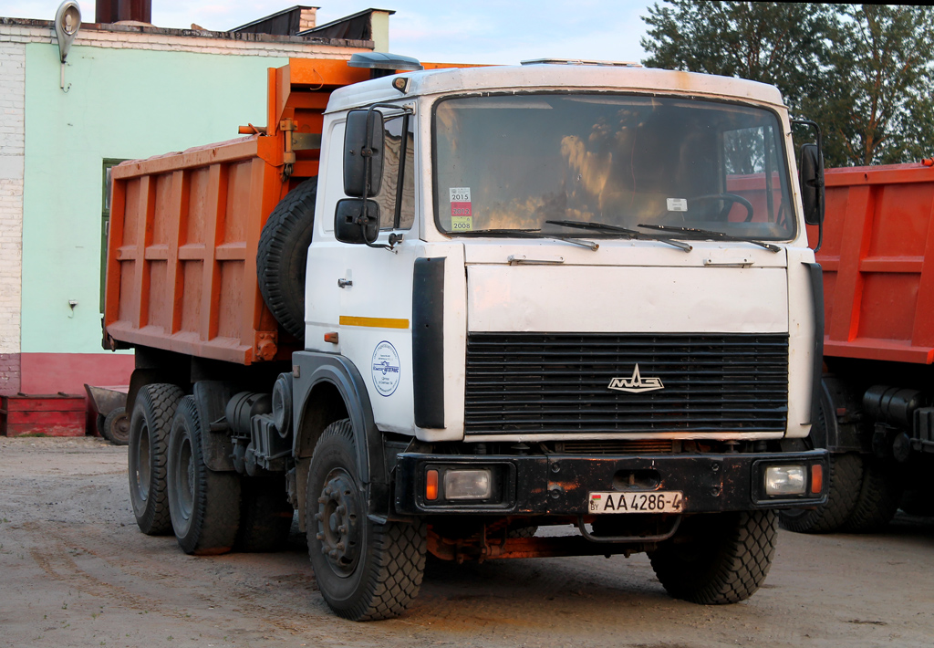 Гродненская область, № АА 4286-4 — МАЗ-5516 (общая модель)