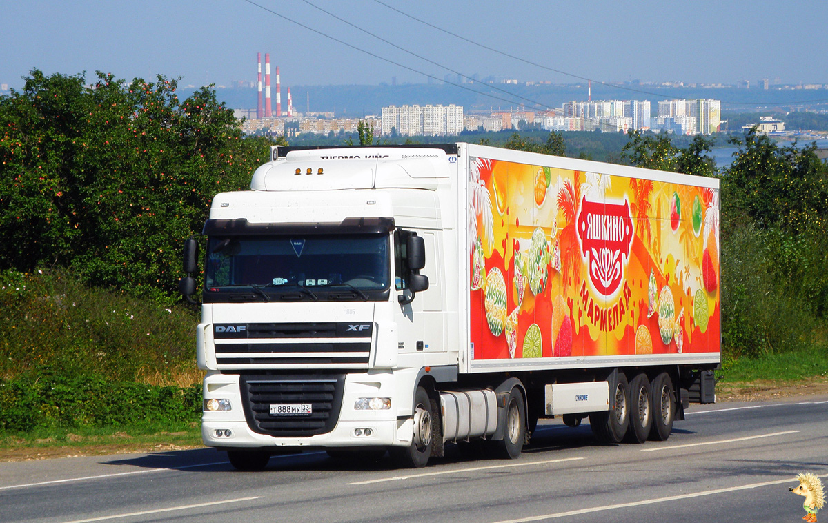 Владимирская область, № Т 888 МУ 33 — DAF XF105 FT