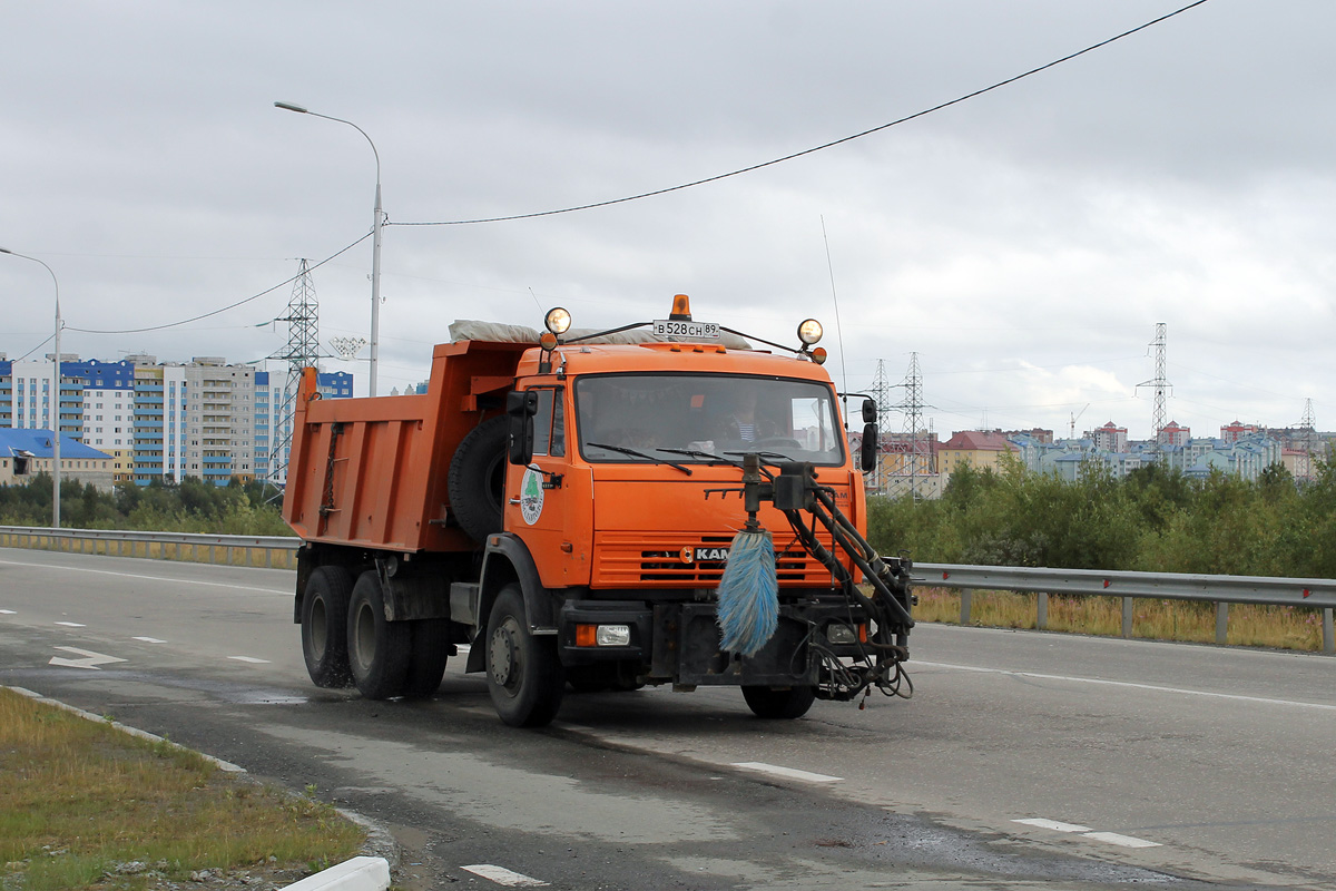 Ямало-Ненецкий автоном.округ, № В 528 СН 89 — КамАЗ-65115 (общая модель)