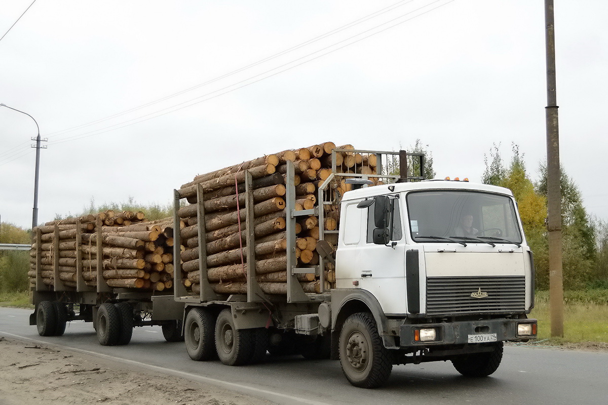 Архангельская область, № Е 100 УА 29 — МАЗ-630308