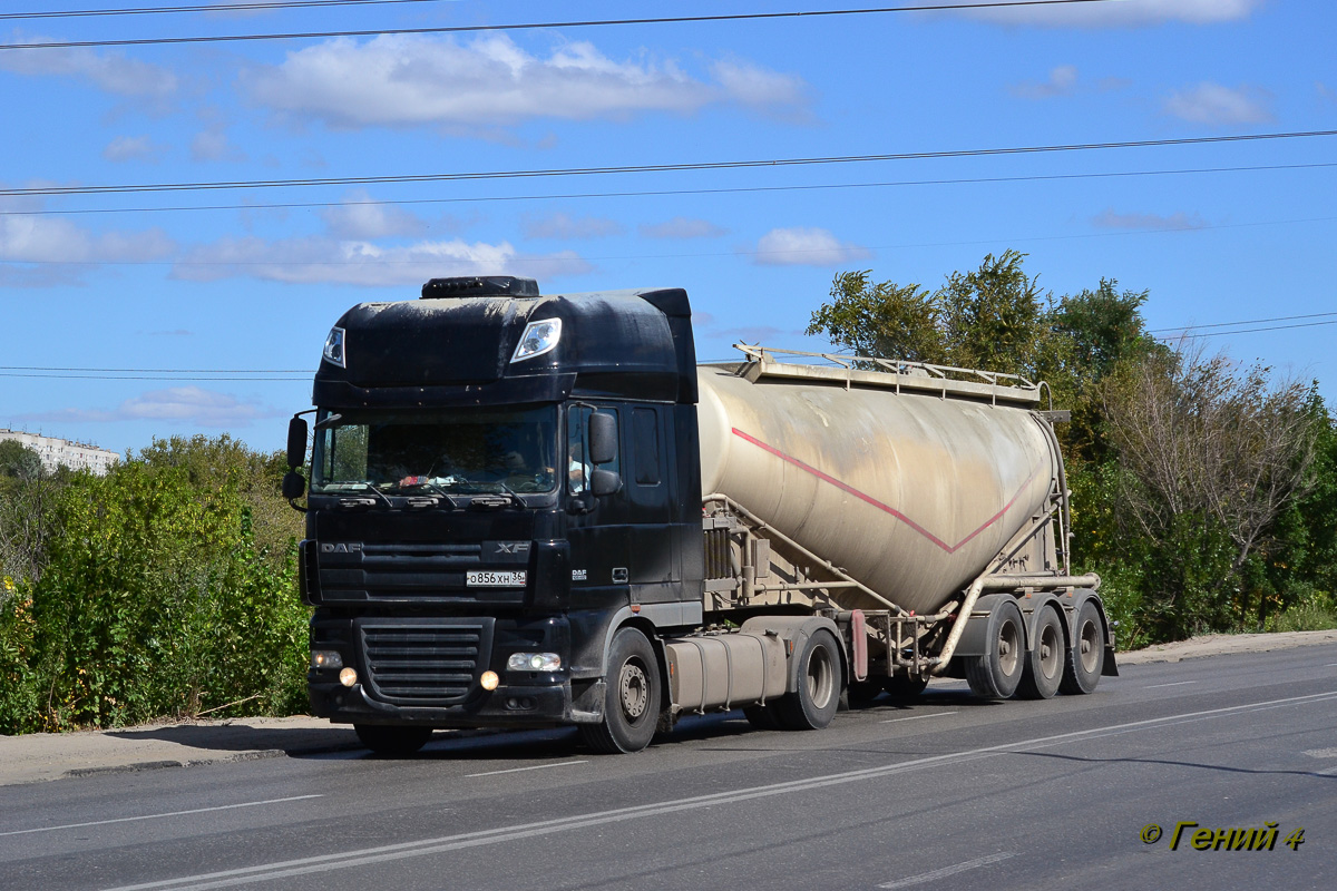 Воронежская область, № О 856 ХН 36 — DAF XF105 FT