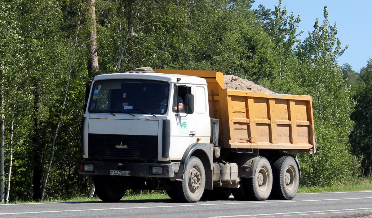 Могилёвская область, № АА 7904-6 — МАЗ-5516 (общая модель)