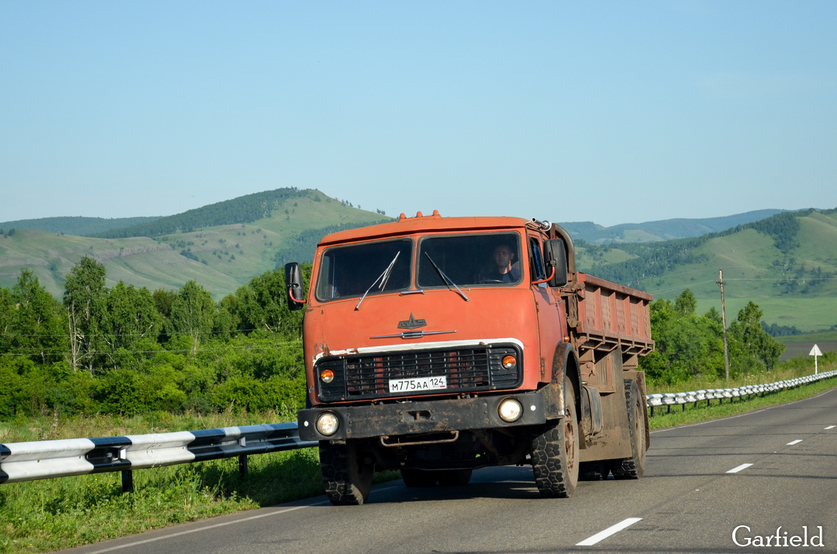 Красноярский край, № М 775 АА 124 — МАЗ-5334