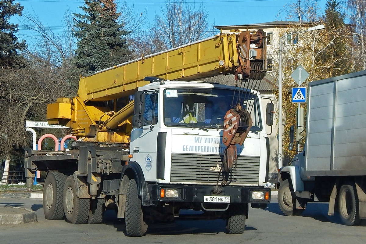 Белгородская область, № К 381 МК 31 — МАЗ-6303A3