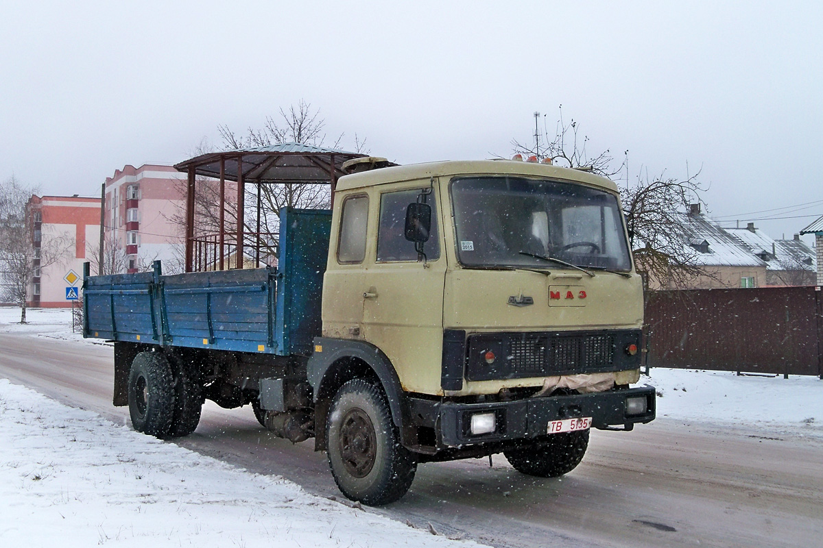 Могилёвская область, № ТВ 5135 — МАЗ-5336 (общая модель)