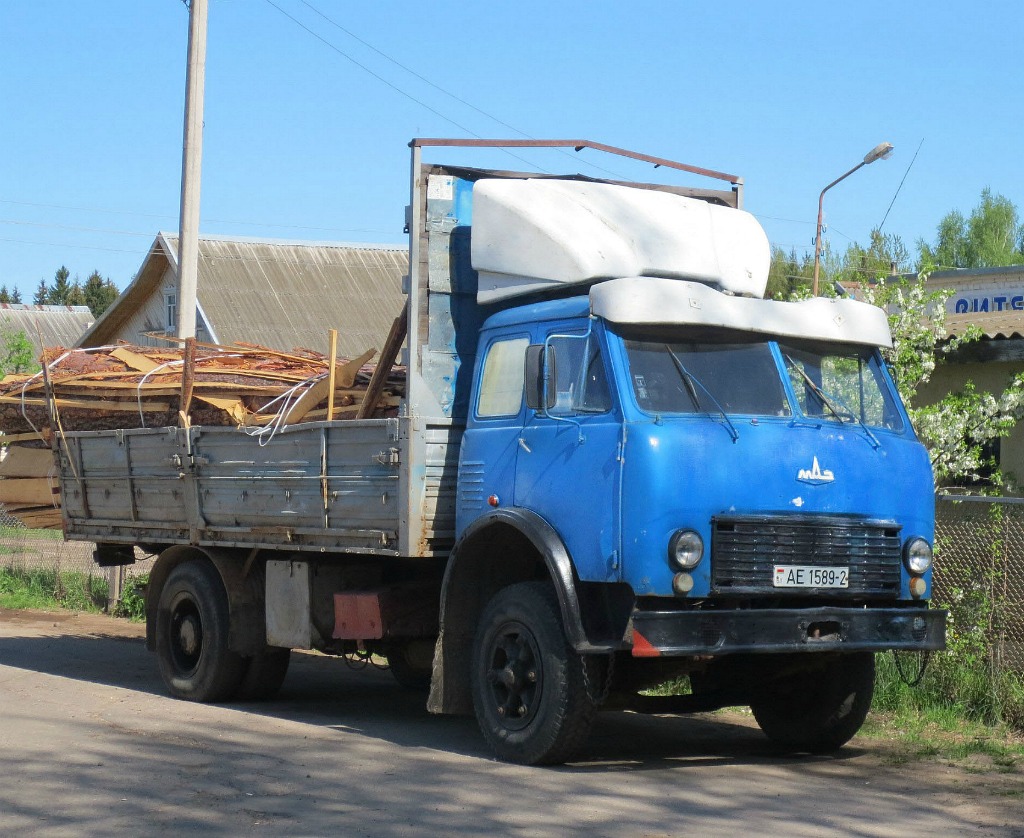 Витебская область, № АЕ 1589-2 — МАЗ-5334