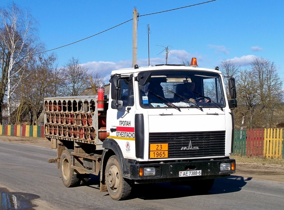 Могилёвская область, № АЕ 7388-6 — МАЗ-4570 (общая модель)