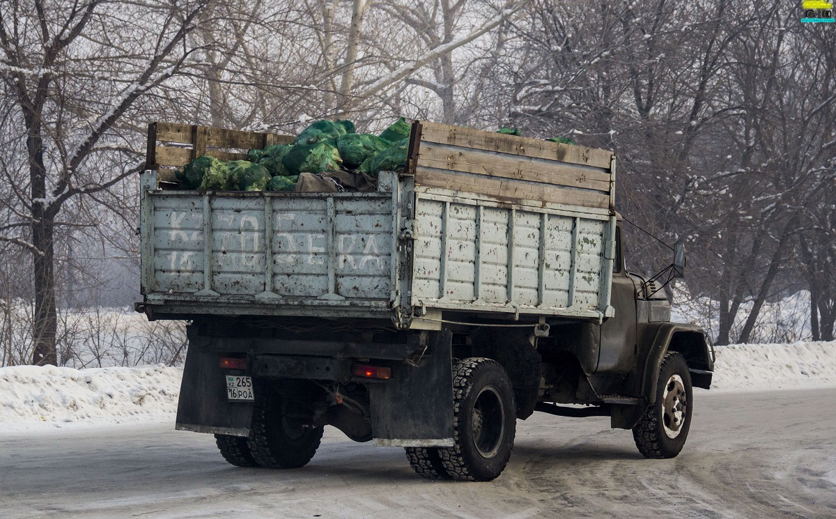 Восточно-Казахстанская область, № 265 POA 16 — ЗИЛ-495710