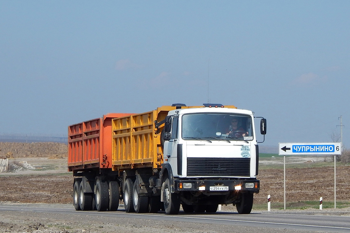 Воронежская область, № С 254 УХ 36 — МАЗ-551608