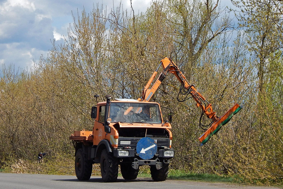 Воронежская область, № А 462 ОА 36 — Mercedes-Benz Unimog (общ.м)