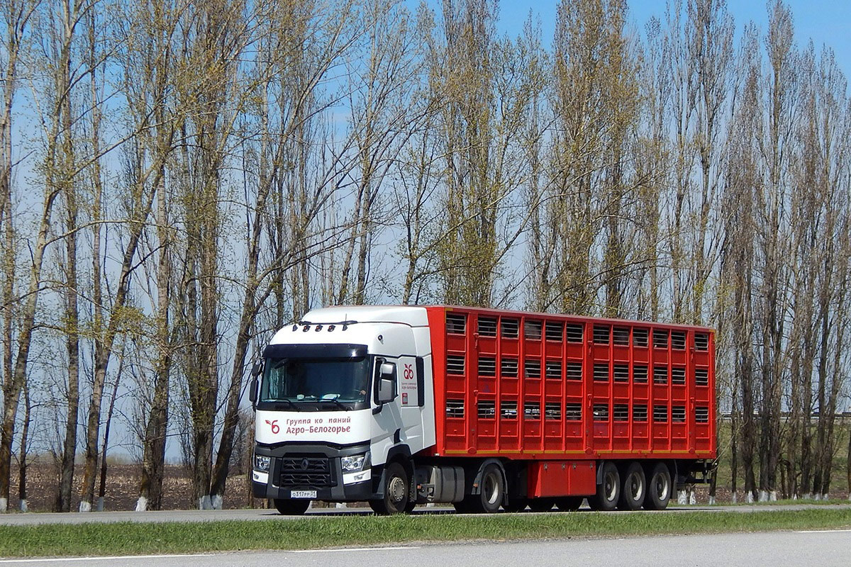 Белгородская область, № О 317 РР 31 — Renault T-Series ('2013)