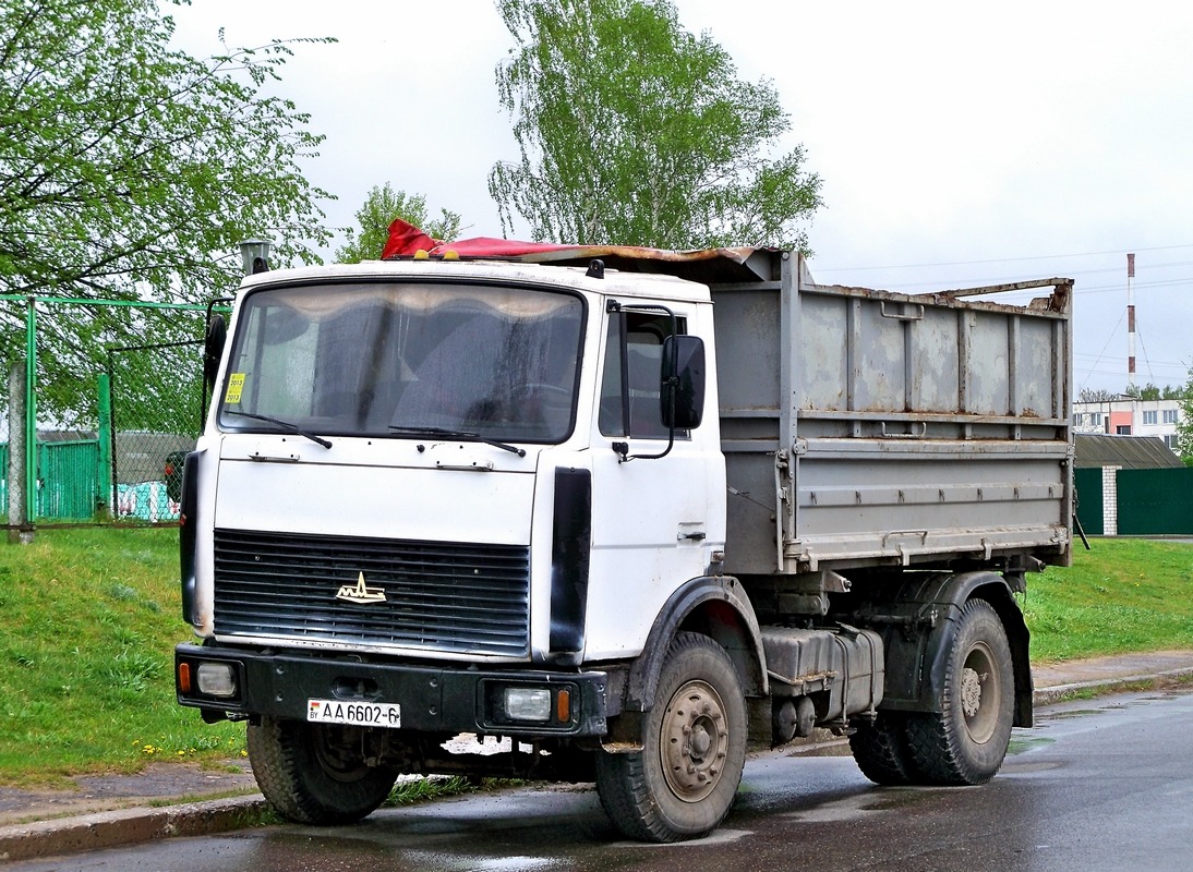 Могилёвская область, № АА 6602-6 — МАЗ-5551 (общая модель)