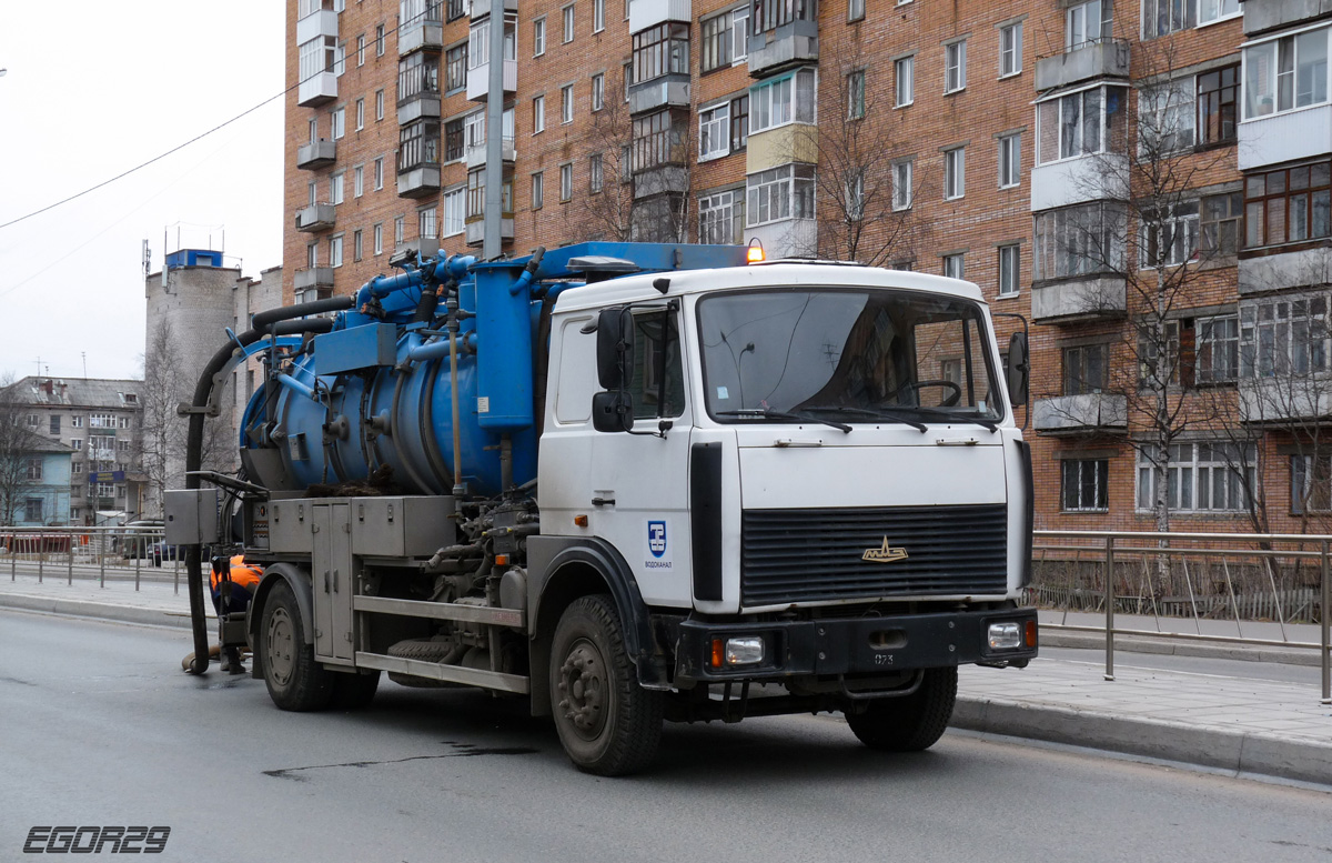 Архангельская область, № 7280 АЕ 29 — МАЗ-5336 (общая модель)