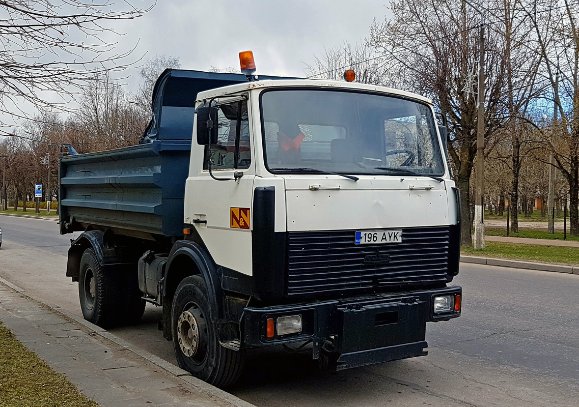 Эстония, № 196 AYK — МАЗ-555102