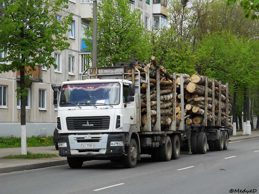 Витебская область, № АІ 7795-2 — МАЗ-6312 (общая модель)