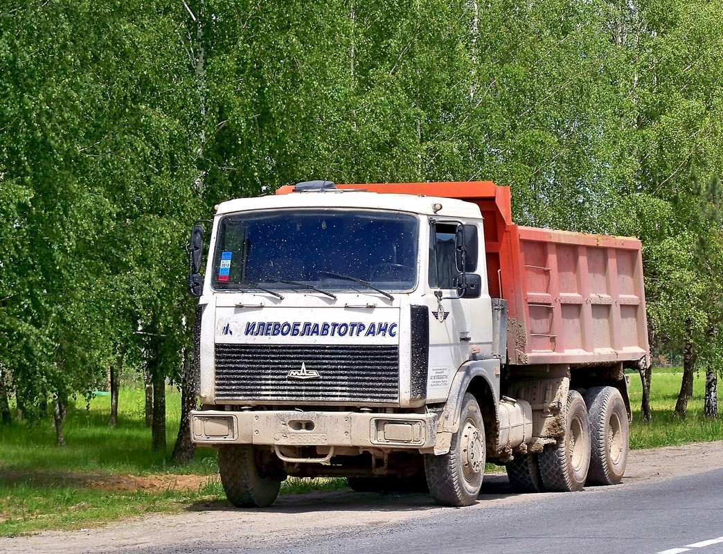 Могилёвская область, № АЕ 6805-6 — МАЗ-5516 (общая модель)