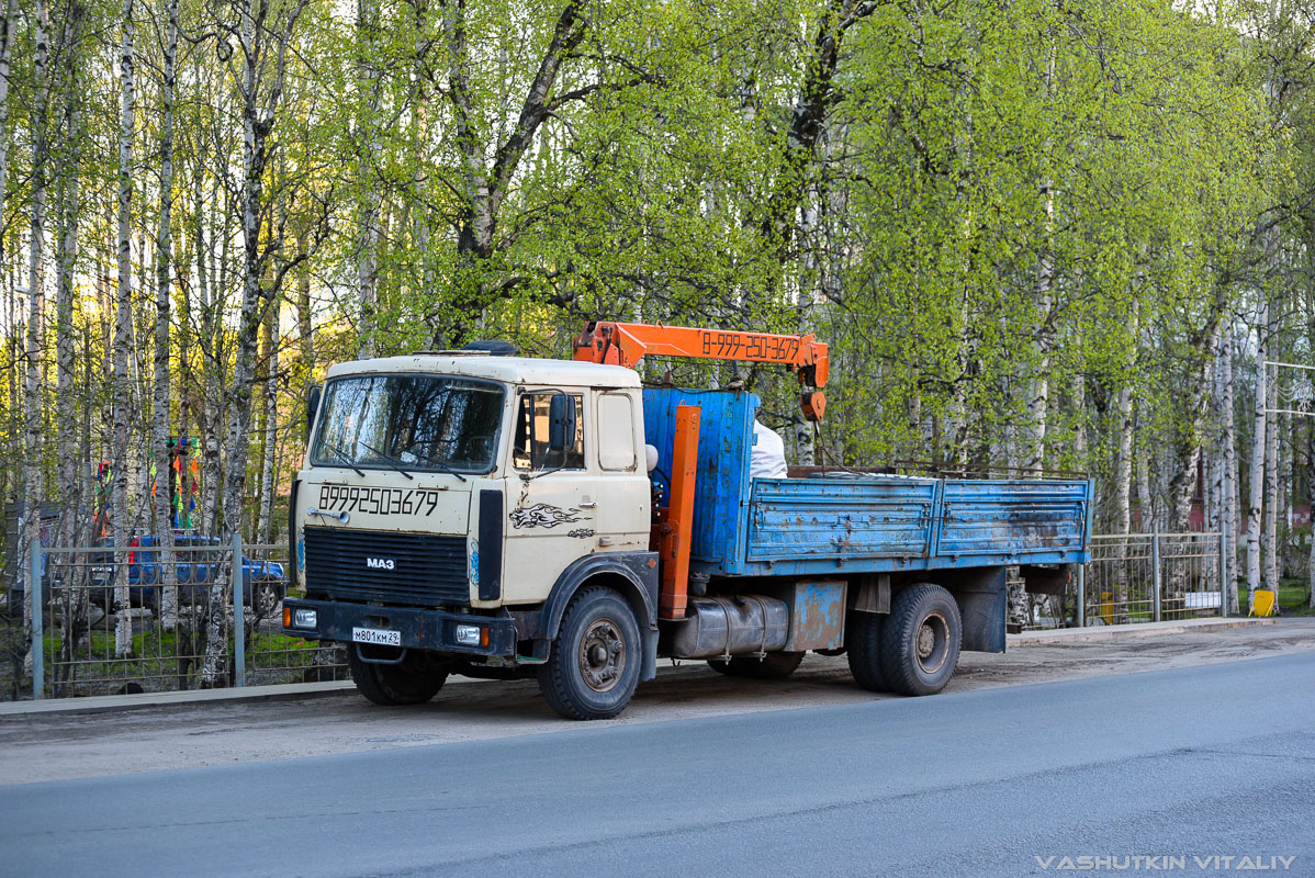 Архангельская область, № М 801 КМ 29 — МАЗ-53366