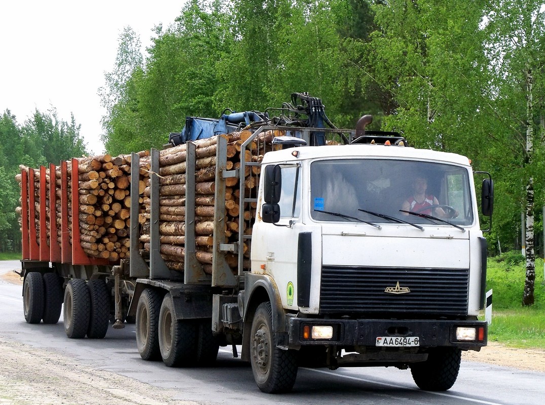 Могилёвская область, № АА 6494-6 — МАЗ-6303 (общая модель)