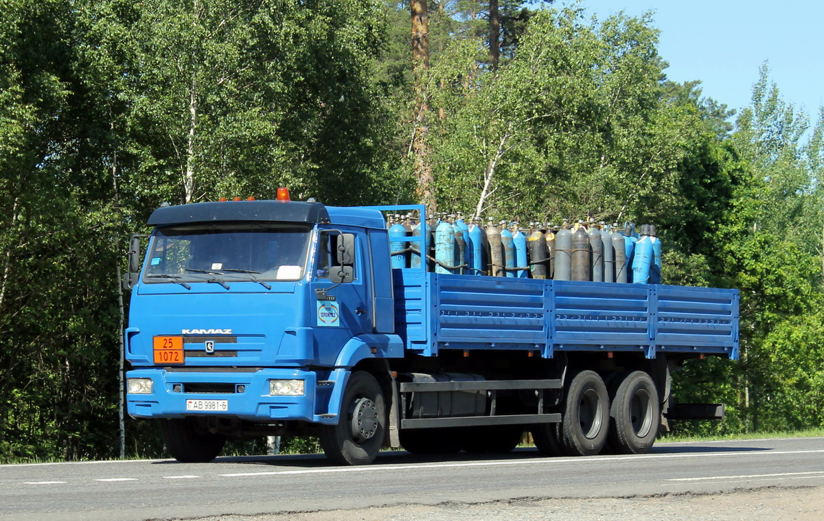 Могилёвская область, № АВ 9981-6 — КамАЗ-65117 (общая модель)