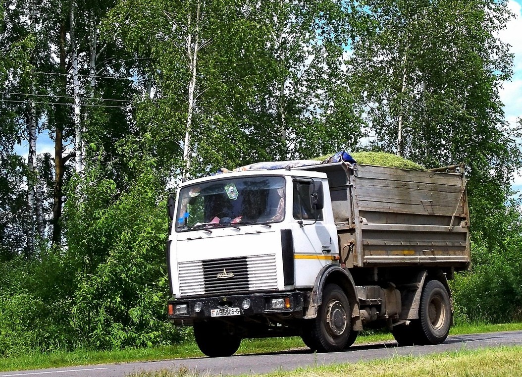 Могилёвская область, № АВ 5606-6 — МАЗ-5551 (общая модель)